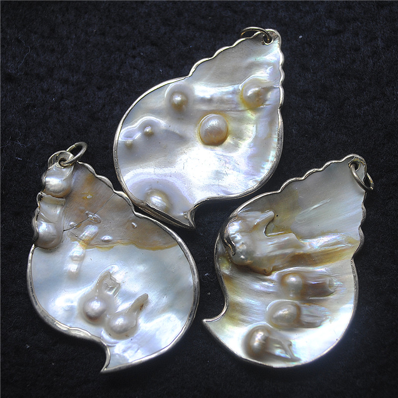 3PCS Nature Shell Pendants Mot - đánh giá và giá Women Fashion Nz