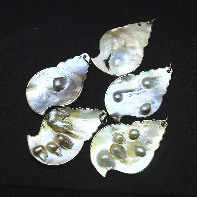 3PCS Nature Shell Pendants Mot - đánh giá và giá Women Fashion Nz